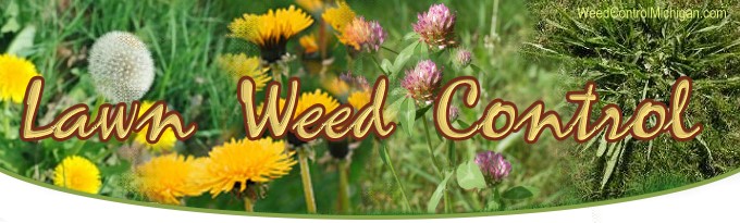 lawn mole control services in metro detroit or southeast michigan